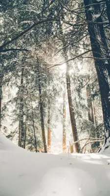 Winter Wallpapers android App screenshot 5